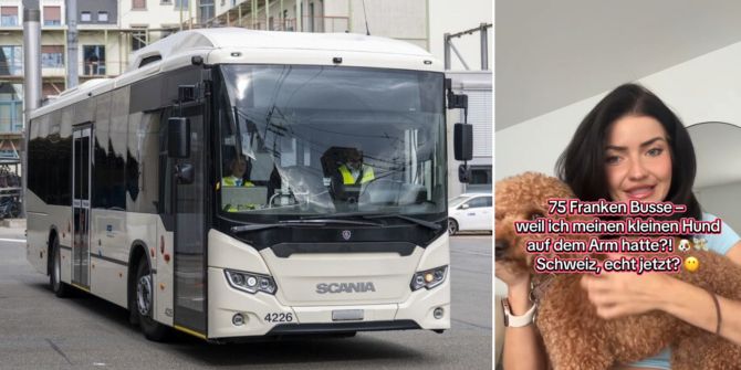 Frau Hund Bus Arm