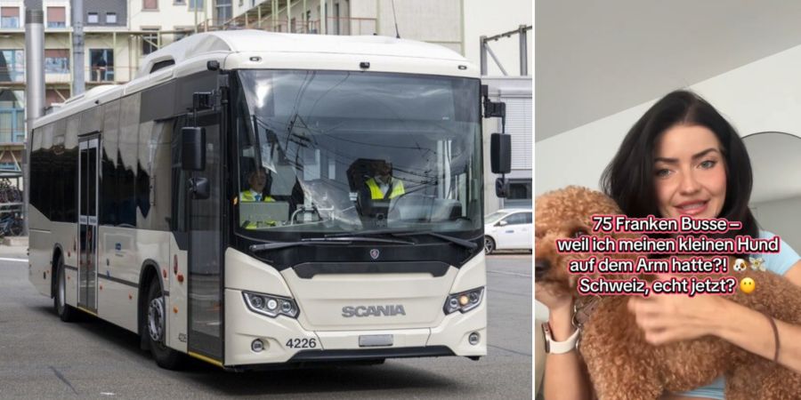 Frau Hund Bus Arm