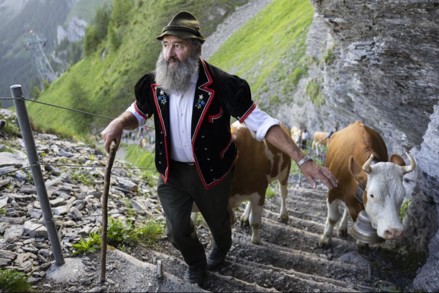 Laut einer Bauernregel bedeutet dies, dass der Sommer gut wird.