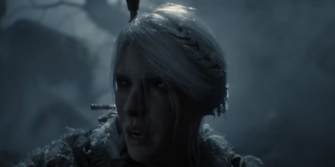 the witcher 4
