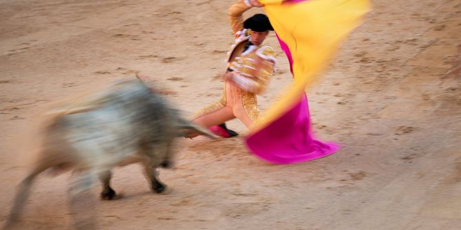 Stiere