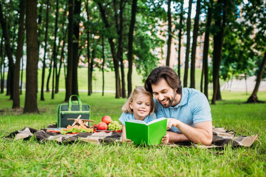 Mann mit Kind beim Picknick, Buch, Wiese