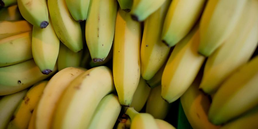 ARCHIV - Bulgarische Zöllner haben am Hafen der Schwarzmeerstadt Burgas 170 Kilogramm Kokain unter Bananen entdeckt. Foto: Daniel Karmann/dpa