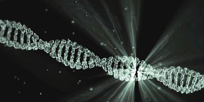 Das DNA-Reparatur-Protein DdrC könnte möglichweise zu einem Durchbruch in der Krebstherapie führen. 8Symbolbild) DNA Helix Krebs Forscher