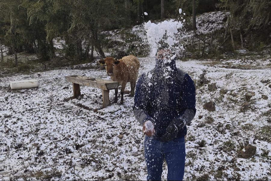 In 2021 kam es zu aussergewöhnlich niedrigen Temperaturen, wodurch viele Kaffeepflanzen zu Grunde gingen. (Symbolbild)