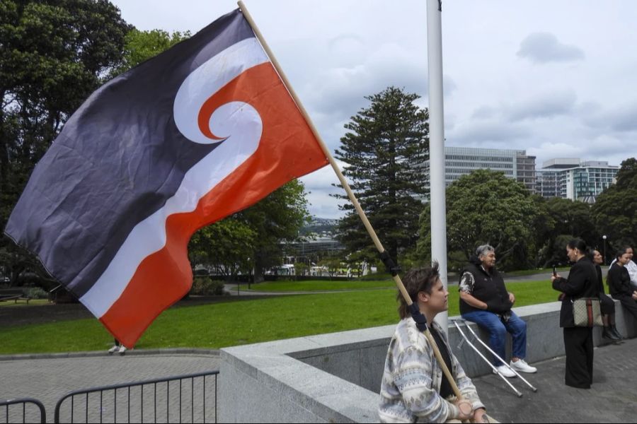 Es wird befürchtet, dass so die Rechte der indigenen Bevölkerung beschnitten werden könnten, es kommt zu Protesten.