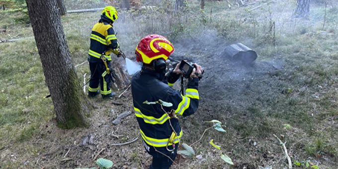 Spaziergänger bemerkt unterirdischen Brand im Churer Fürstenwald. Stadt Chur
