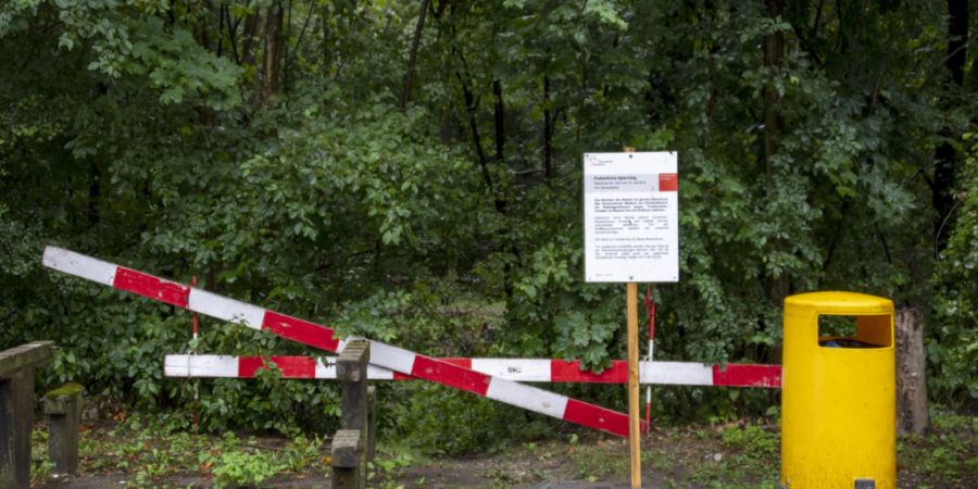 Der Hardwald in Muttenz BL war im Sommer 2019 wegen Trockenheitsschäden gesperrt. (Archivbild)