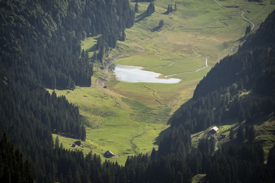 Dem Experten zufolge bräuchten wir nun monatelang Regen, um die Speicher bis zum Frühjahr wieder aufzufüllen.