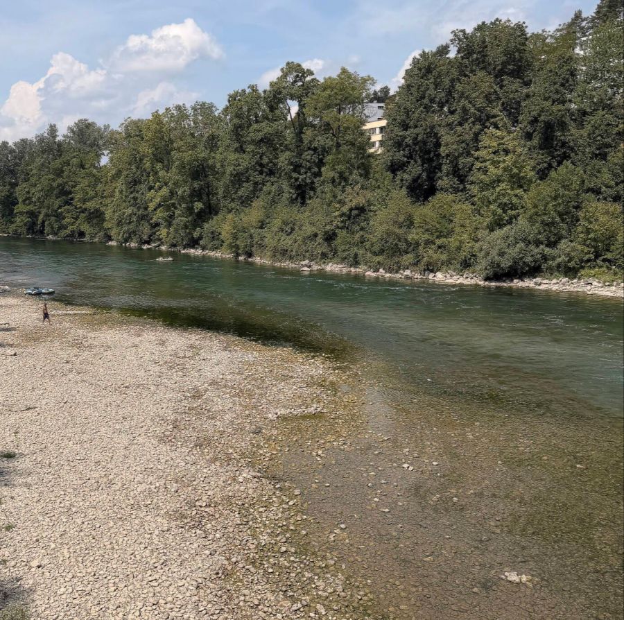Die Limmat im Grossraum Zürich wird sich durch Bauprojekte grundlegend verändern.