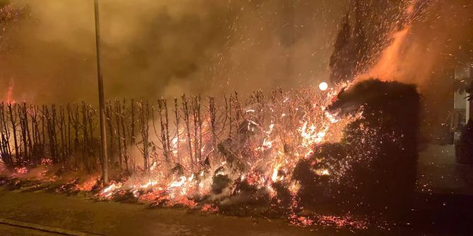 Hecke in Brand geraten