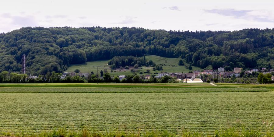 Die Landschaft bei der Einfahrt von Nussbaumen in Untersiggenthal.