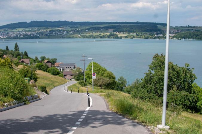 Aussicht auf den Hallwilersee.