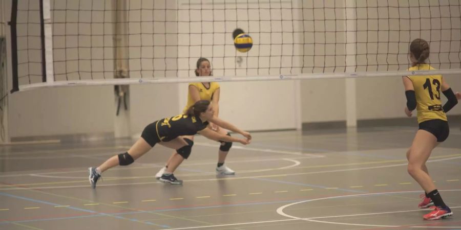 SV Volley Wyna