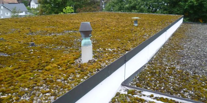 Das Dach des Bezirksschulhauses muss saniert werden.