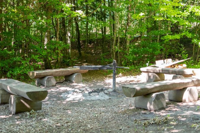 Ein kleiner Grillplatz im Leutwiler Wald.