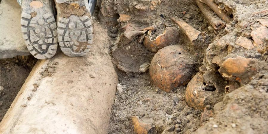 Auf dem Franziskanerplatz LU stiessen Archäologen auf die 300 aus dem Mittelalter stammenden Skelette.