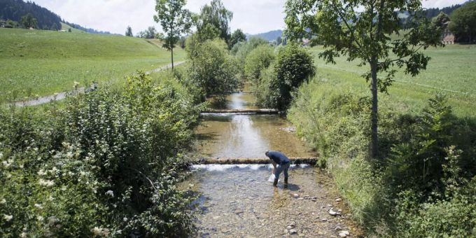 Muri - Wasserentnahmen aus der Bünz sind verboten