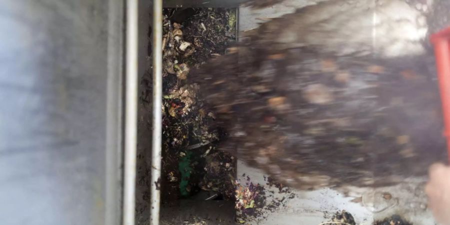 Bio-Abfall wird in eine Sammelstelle gegeben - Keystone