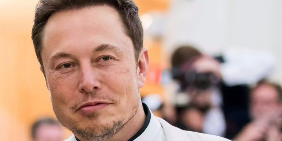 Der Tesla-Chef Elon Musk.