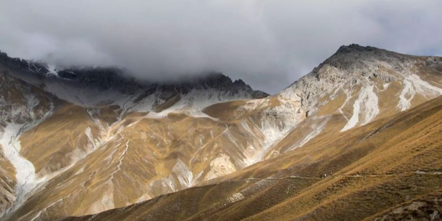 Der schweizerische Nationalpark.