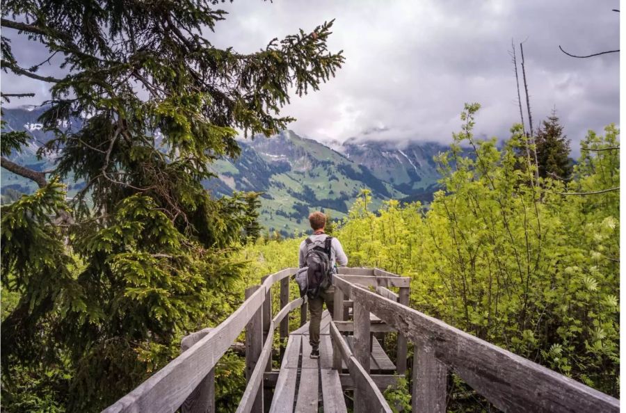 Gefährlicher als gedacht: Wandern in den Schweizer Bergen, Pixabay.