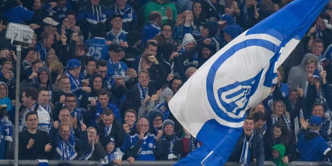 Schalke-Fans jubeln über ein Tor ihres Teams.