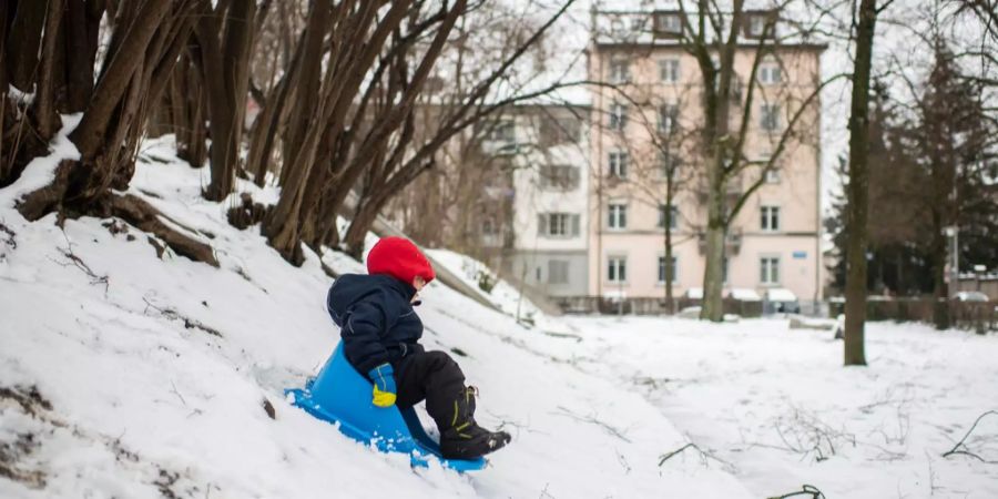 Der kleine Jean-Louis schlittelt auf der Fritschiwiese in Zuerich.