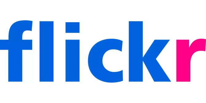 Das Logo der Fotoplattform Flickr.