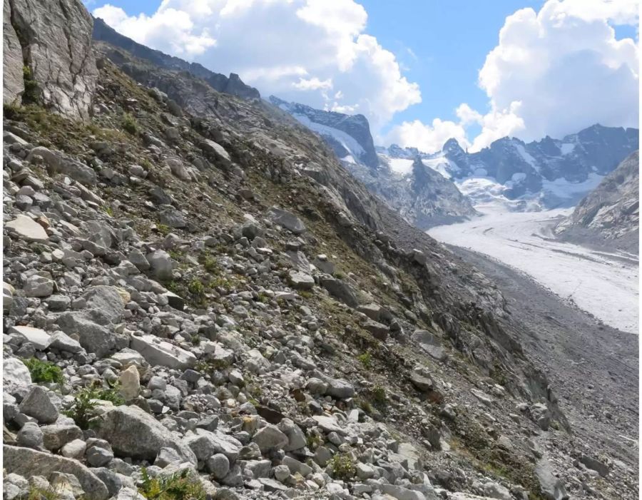 Beim Fotografieren rutschte sie auf rund 2'480 m.ü.M. aus und stürzte das felsdurchsetzte Gelände hinunter- Kapo Graubünden