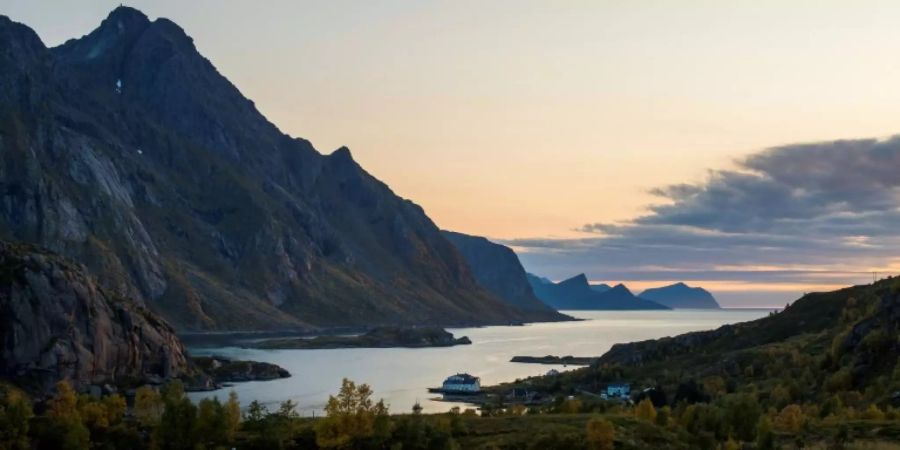 hurtigruten