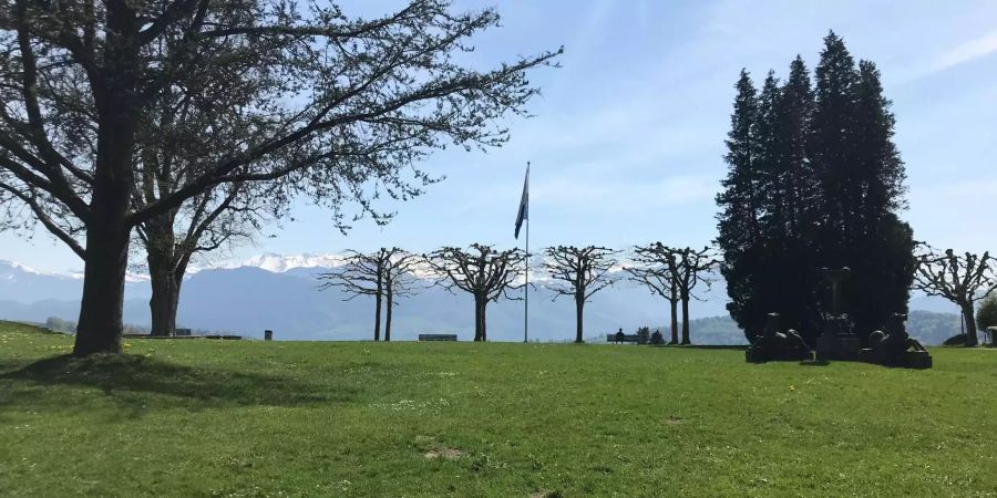 Der Dreilindenpark liegt an erhöhter Lage und ist öffentlich zugänglich.