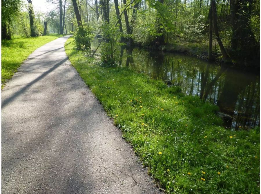 Der Glattkanal wird aufgewertet und zu einem attraktiveren Naherholungsgebiet umgestaltet. - Community