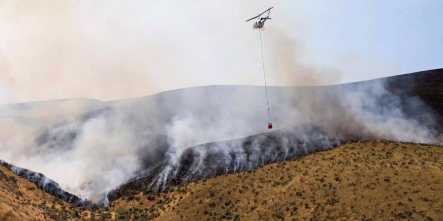 waldbrand