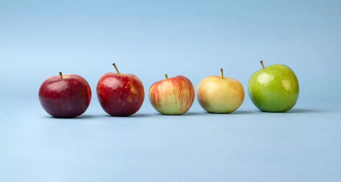 Äpfel unterstützen die Lungengesundheit. Äpfel