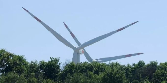 Windräder stehen hinter einem Wäldchen und einem blühenden Rapsfeld. Foto: Roland Holschneider/dpa Klima