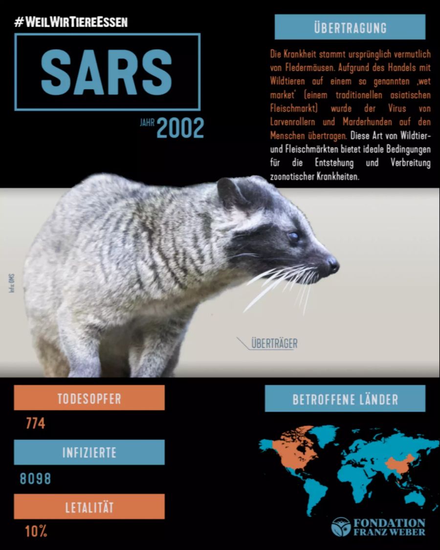 SARS stammt von Fledermäusen.