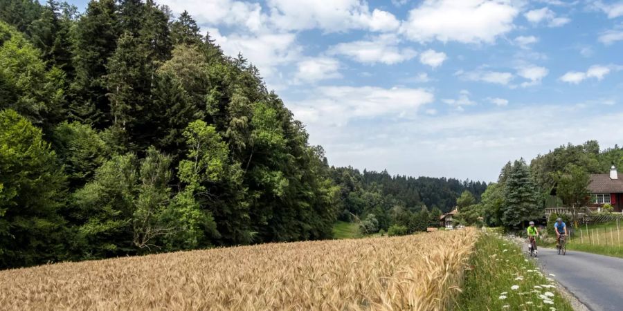 Ein Weg und ein Feld im Köniztal zwischen Kehrsatz und Schliern bei Köniz.