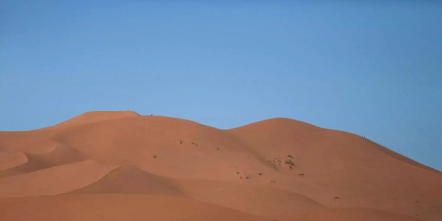 Die Sahara-Wüste in Marokko.