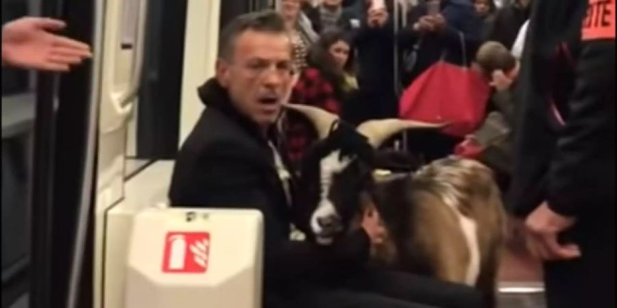 Ein Mann mit Ziege in Pariser U-Bahn.