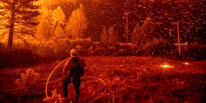 brand