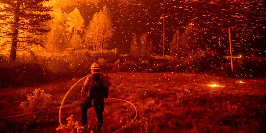 brand
