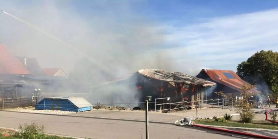 Die Feuerwehr versucht den Stall-Brand in Herdern TG zu löschen.