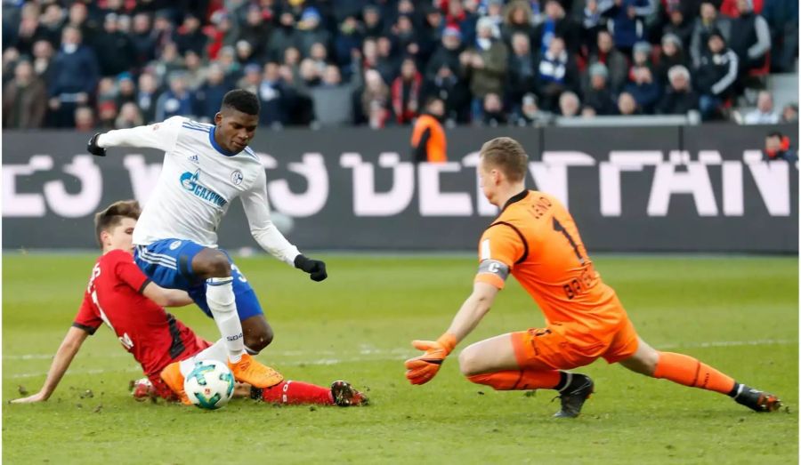 Bayer Leverkusen findet im Februar nicht zur nötigen Konstanz. Die 0:2-Pleite gegen Schalke ist die zweite Heimniederlage in Serie. Aus den letzten vier Spielen resultierte nur ein Sieg gegen das kriselnde Hamburg. Angesichts der engen Tabellenkonstellation wäre der Sprung auf Rang zwei längstens möglich gewesen.