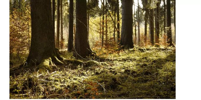 Mikroplastik ist überall - auch in Naturschutzgebieten. Mikroplastik ist überall - auch in Naturschutzgebieten.