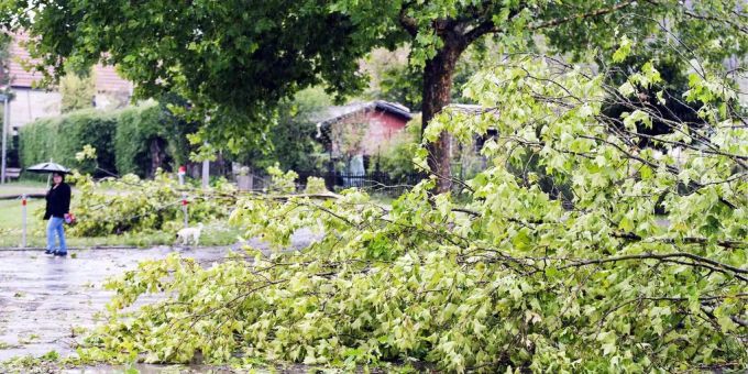 Vaduz - Bäume stürzen auf Strassen und Häuser
