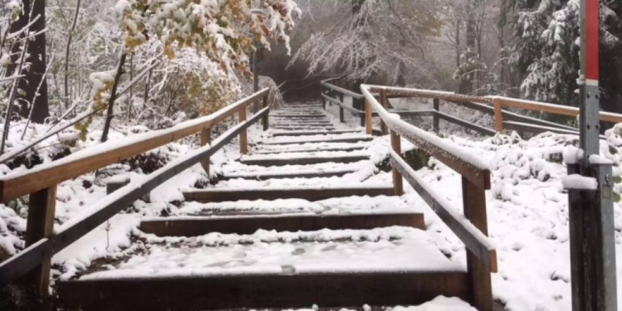 Auf dem Uetliberg liegt Schnee.