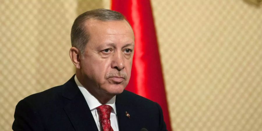 Die  Zahl der Freunde der Türkei müsse erhöht werden, sagte Erdogan am Donnerstag.