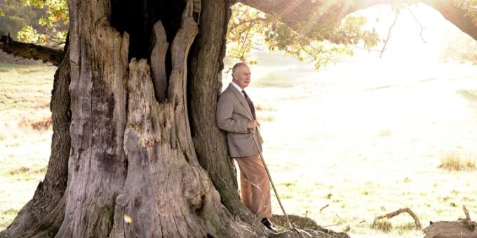 König Charles III. auf dem neuen offiziellen Foto. Knig Charles iii