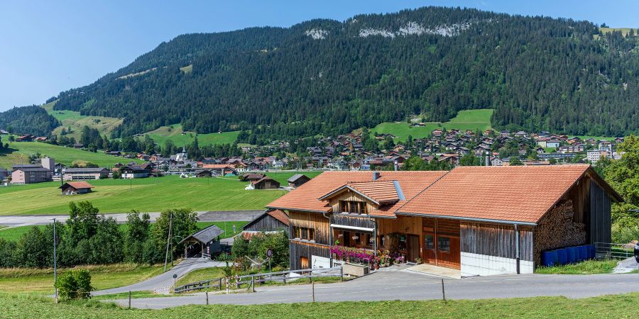 Blick auf Zweisimmen. - Simmental